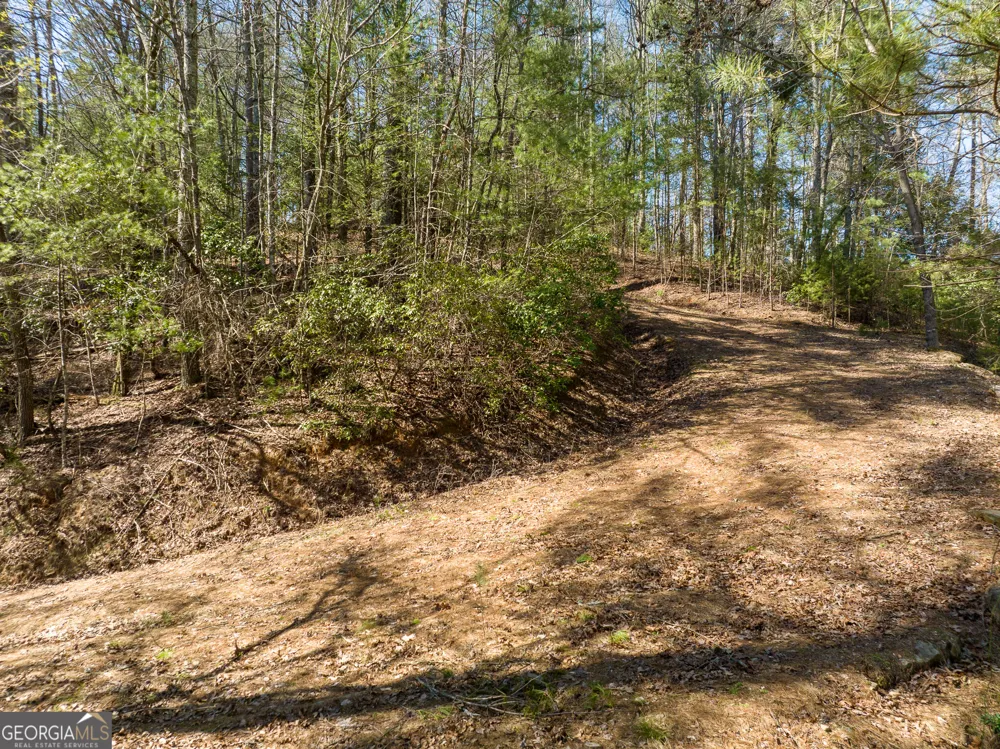 0 Coatopa CT Ellijay, GA 30540