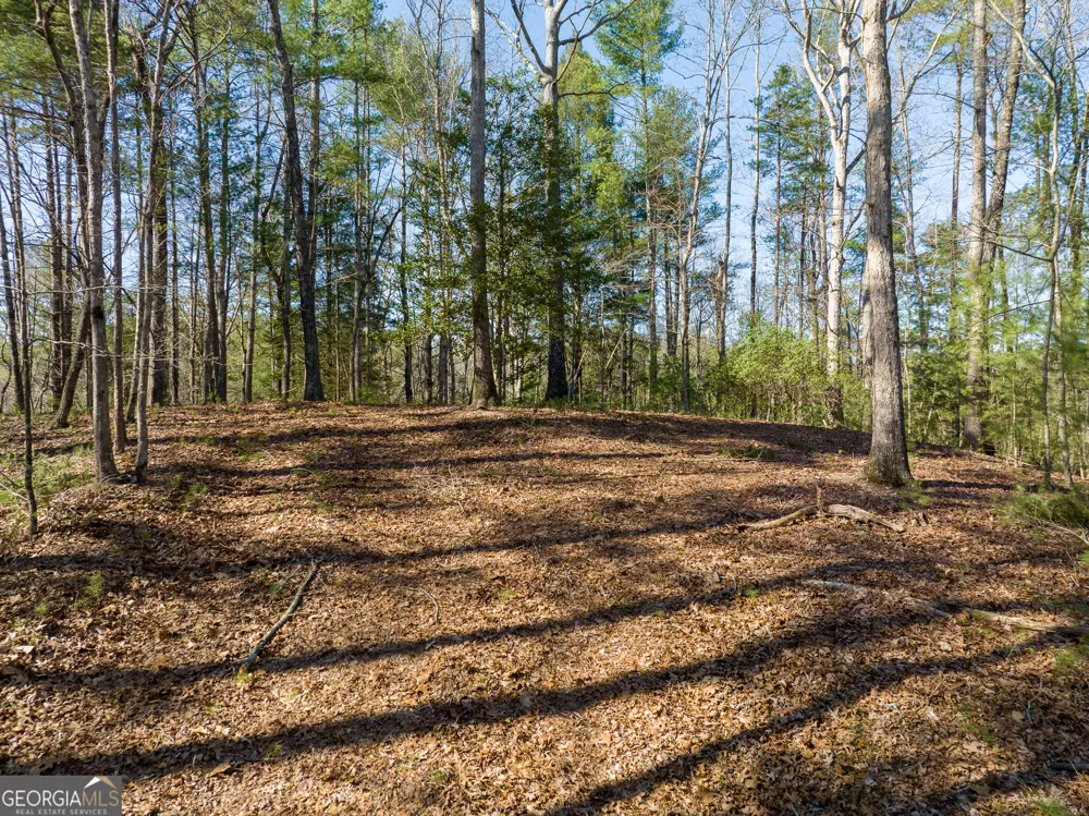 0 Coatopa CT Ellijay, GA 30540