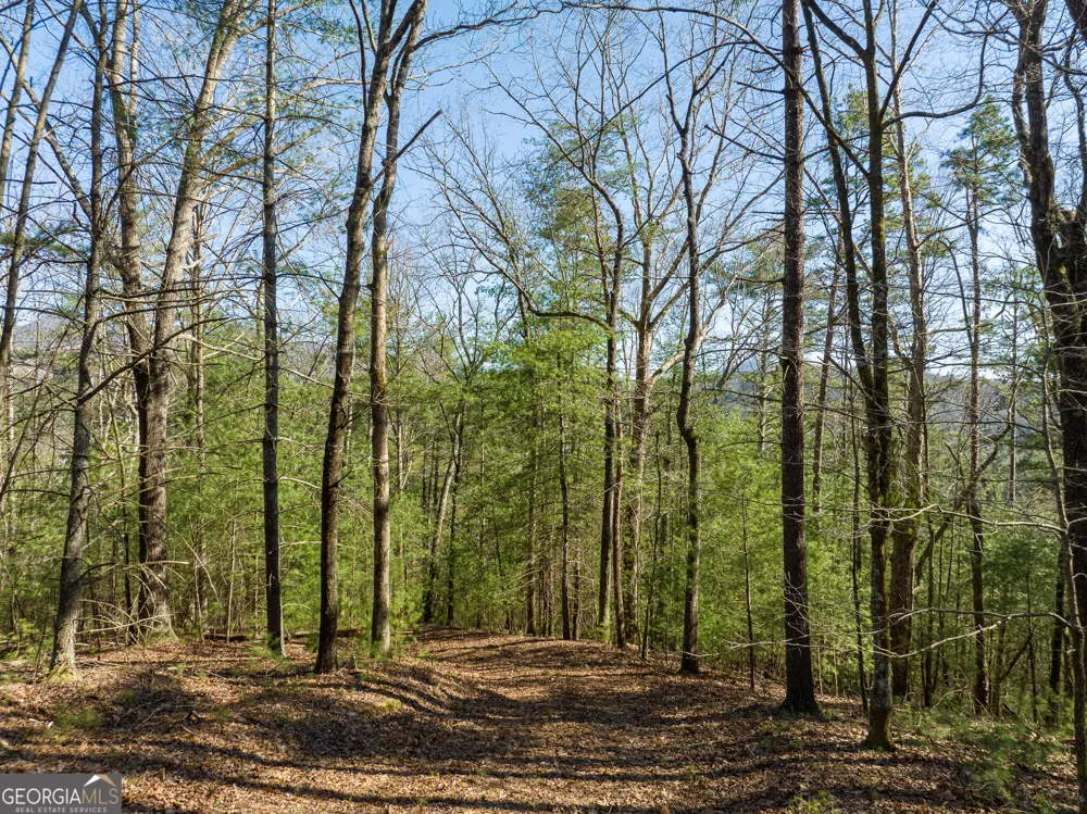 0 Coatopa CT Ellijay, GA 30540