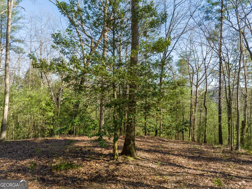 0 Coatopa CT Ellijay, GA 30540