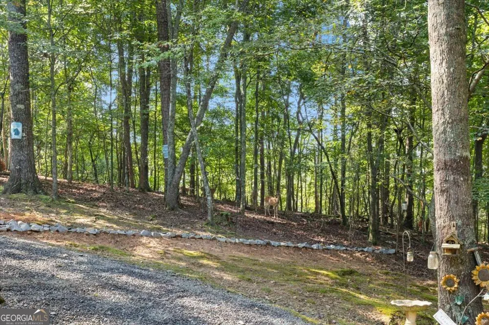 289 Cypress CIR Ellijay, GA 30540