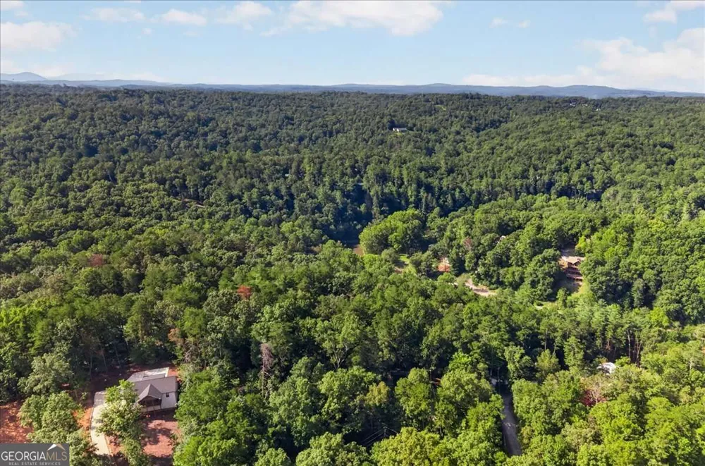 289 Cypress CIR Ellijay, GA 30540