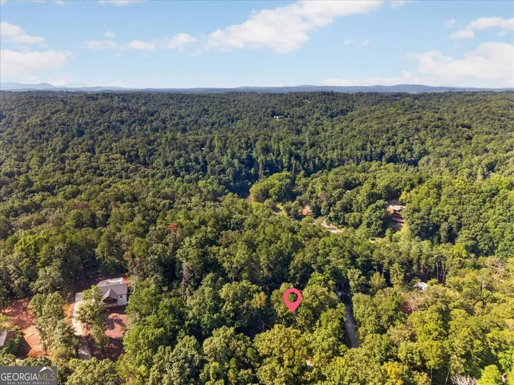 289 Cypress CIR Ellijay, GA 30540