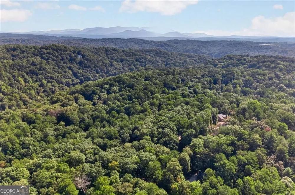 289 Cypress CIR Ellijay, GA 30540
