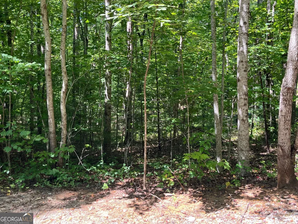 LOT 7 Forest Canopy WAY Clayton, GA 30525