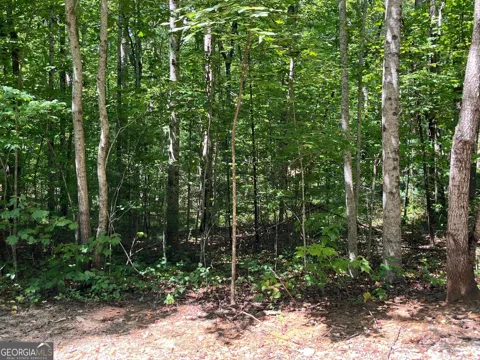 LOT 7 Forest Canopy WAY
