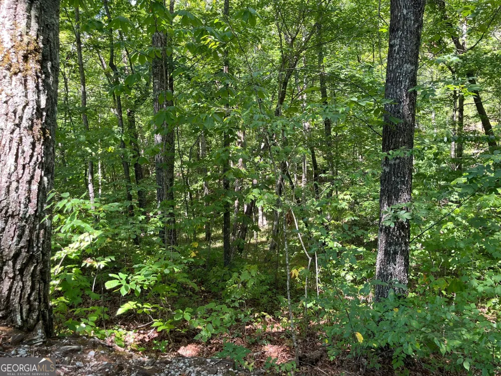 LOT 7 Forest Canopy WAY Clayton, GA 30525