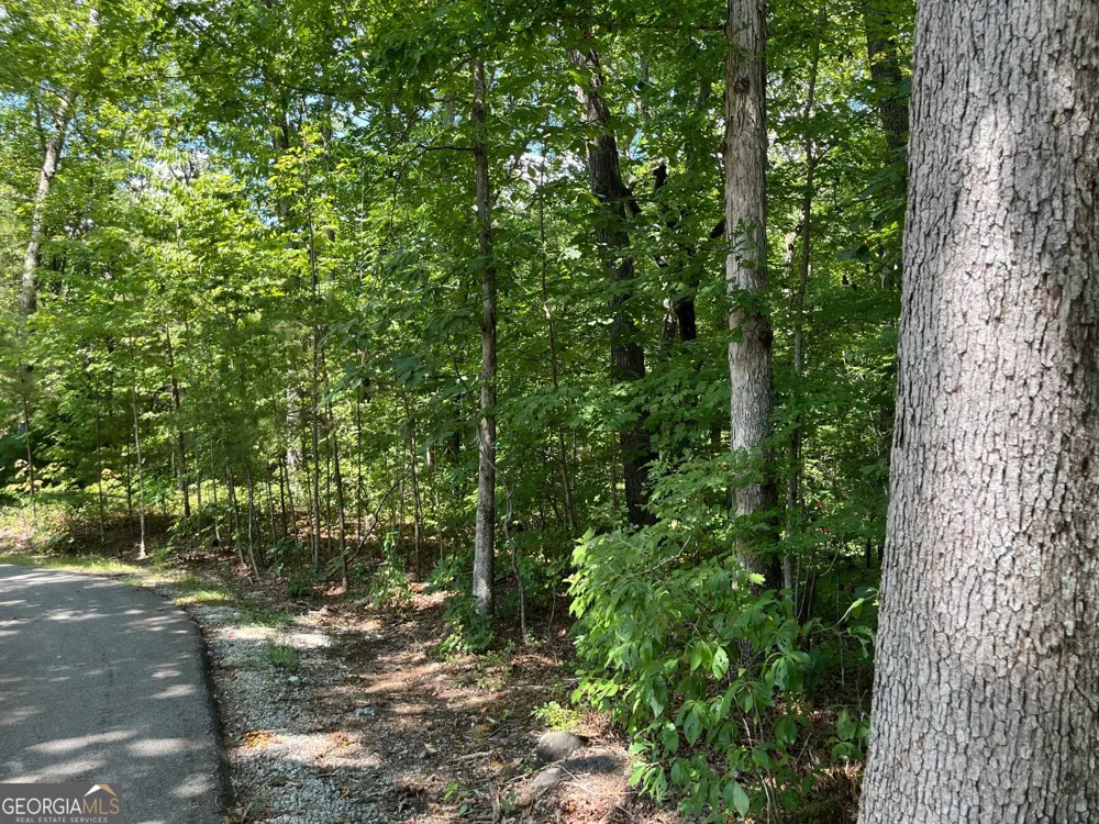 LOT 7 Forest Canopy WAY Clayton, GA 30525