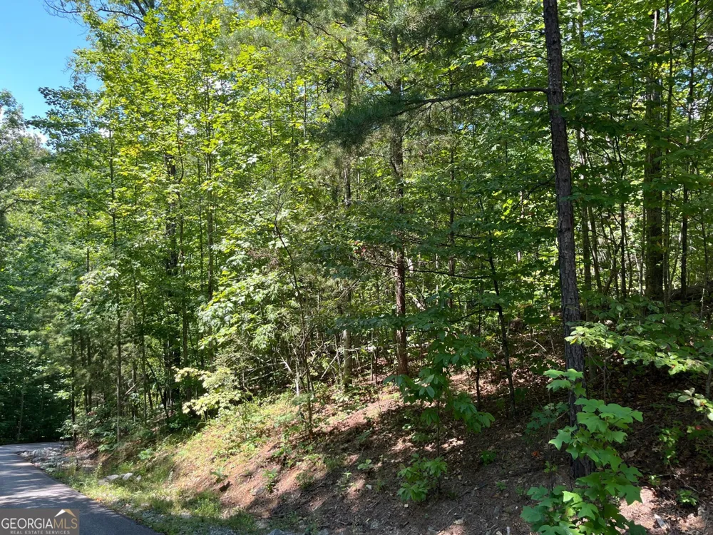 LOT 7 Forest Canopy WAY Clayton, GA 30525