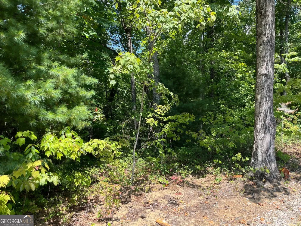 LOT 7 Forest Canopy WAY Clayton, GA 30525