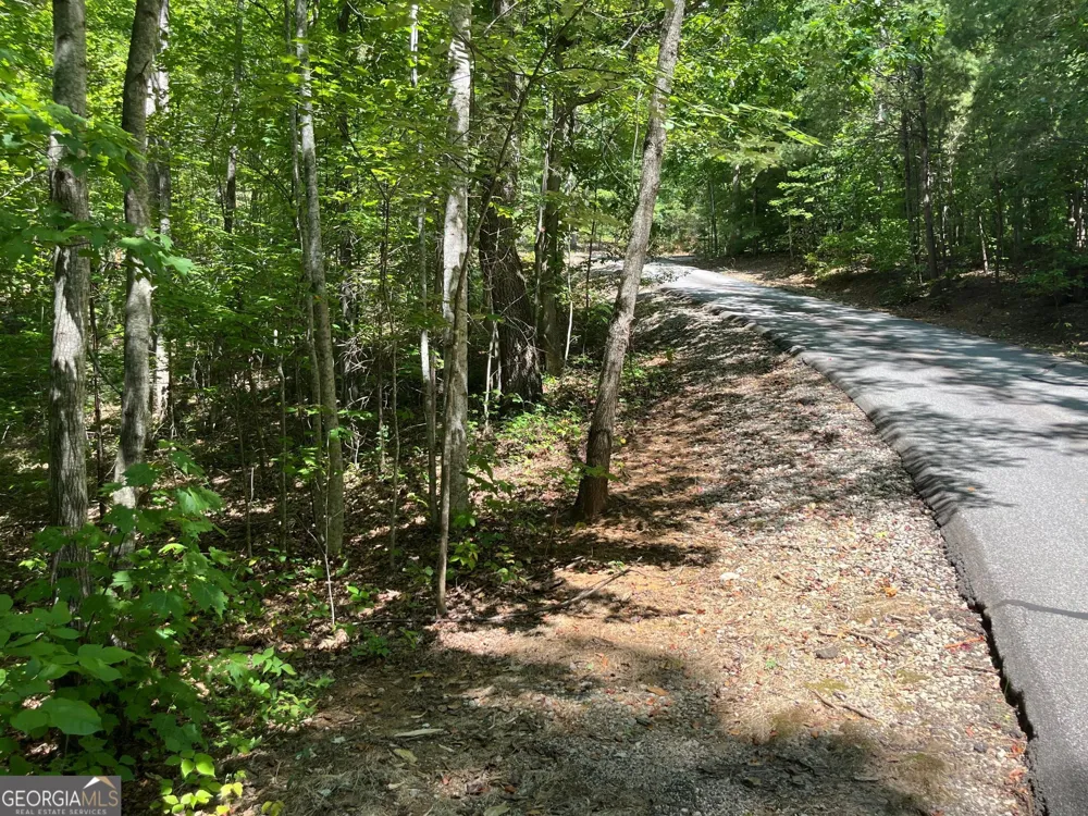 LOT 7 Forest Canopy WAY Clayton, GA 30525