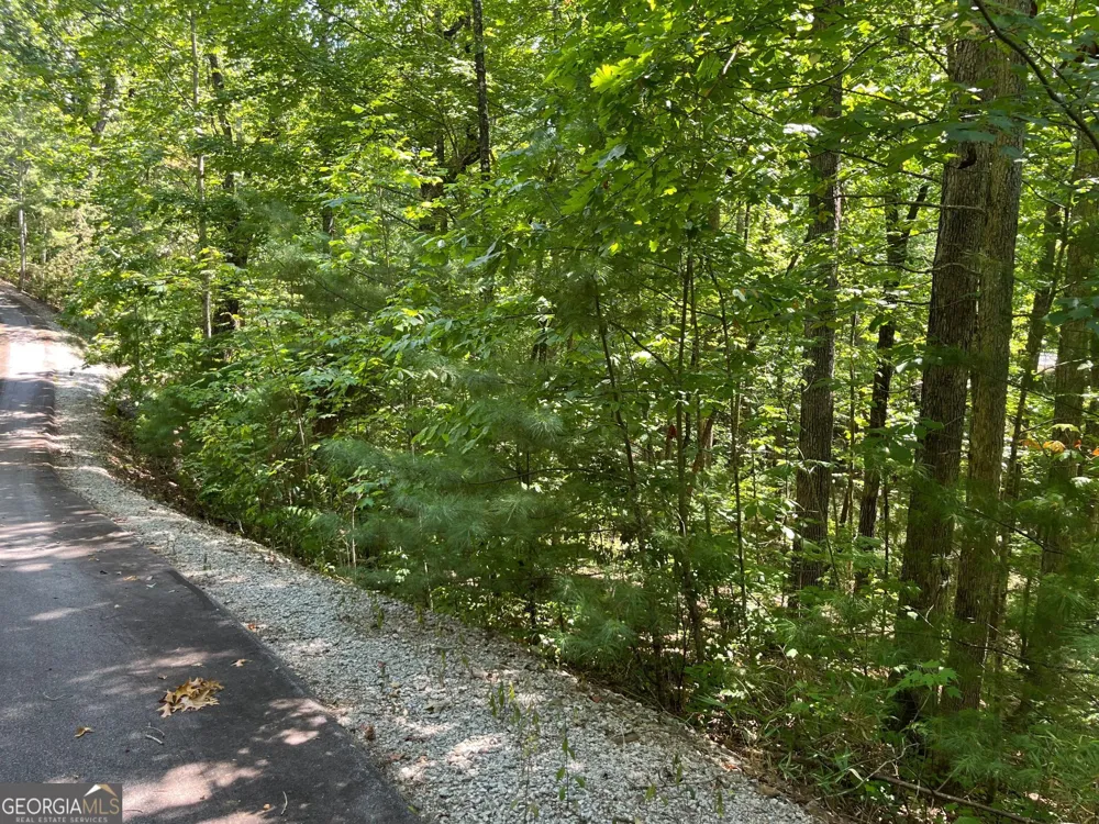 LOT 7 Forest Canopy WAY Clayton, GA 30525