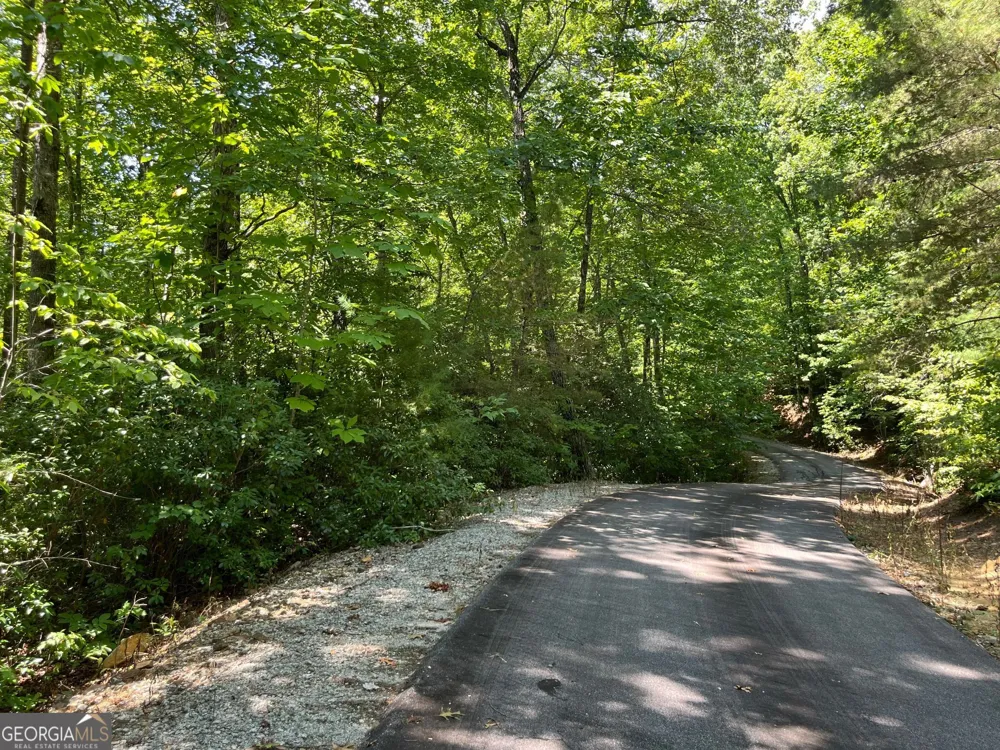 LOT 7 Forest Canopy WAY Clayton, GA 30525