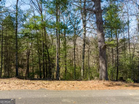 LOT 164 Shenendoa DR