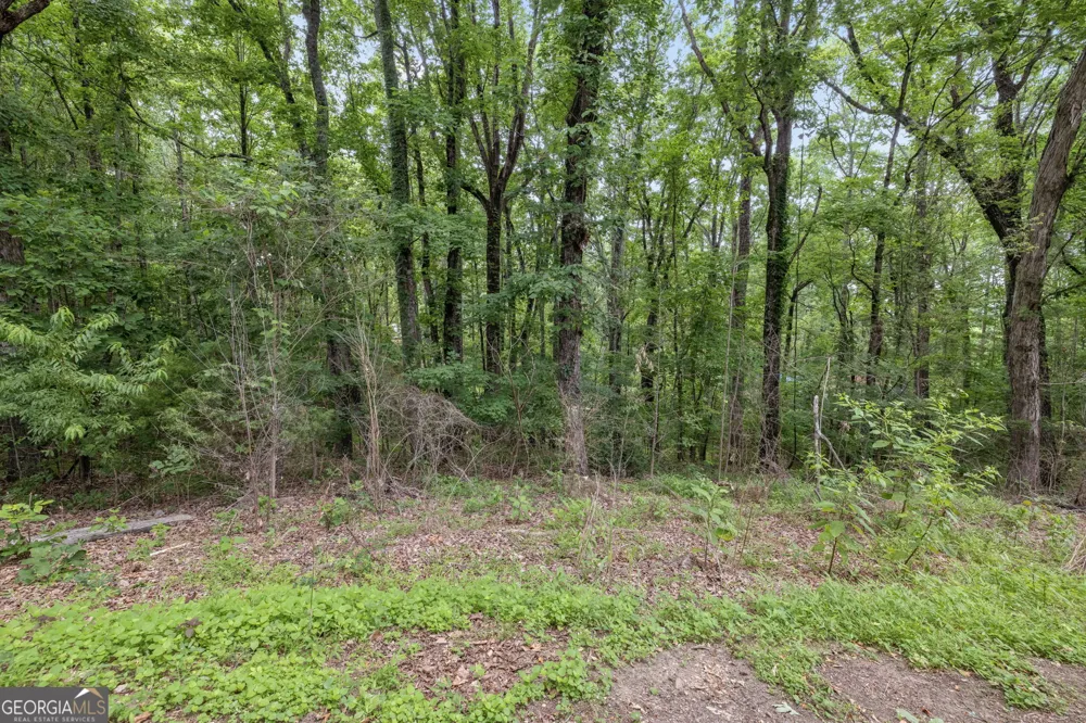 2730 Vaughandale CIR Gainesville, GA 30506