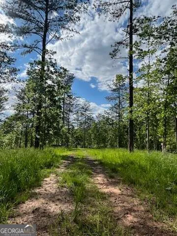 LOT 1 Highway 52 W Dahlonega, GA 30533