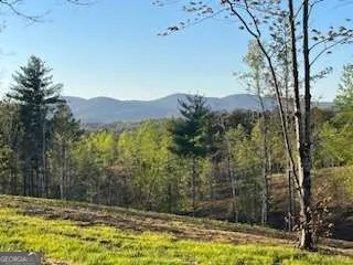LOT 1 Highway 52 W Dahlonega, GA 30533