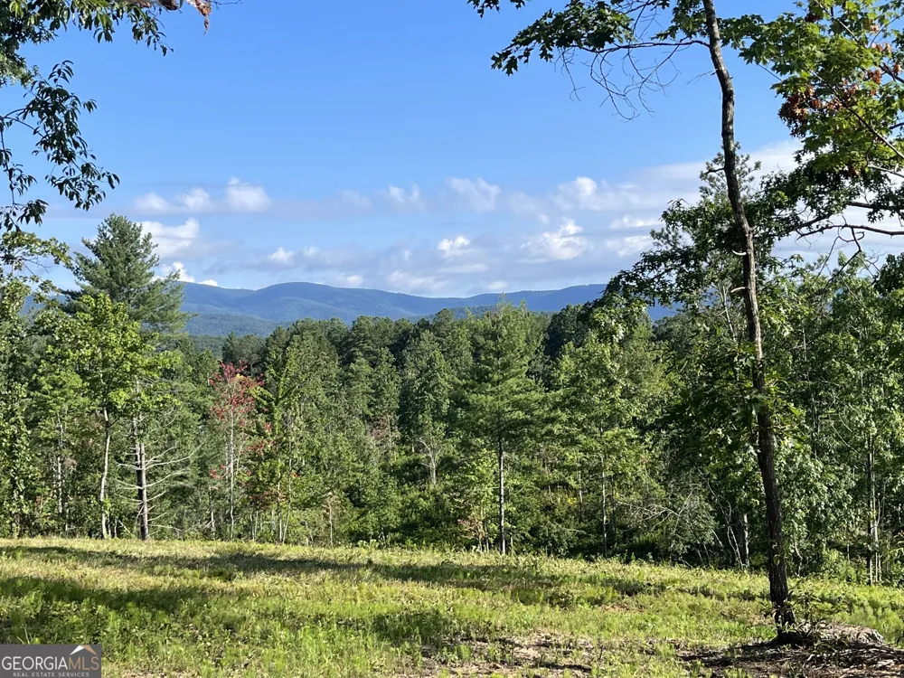 LOT 1 Highway 52 W Dahlonega, GA 30533