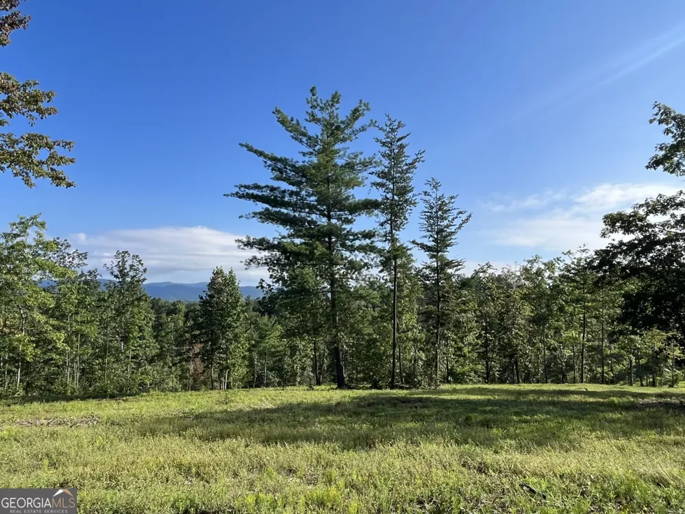 LOT 1 Highway 52 W Dahlonega, GA 30533