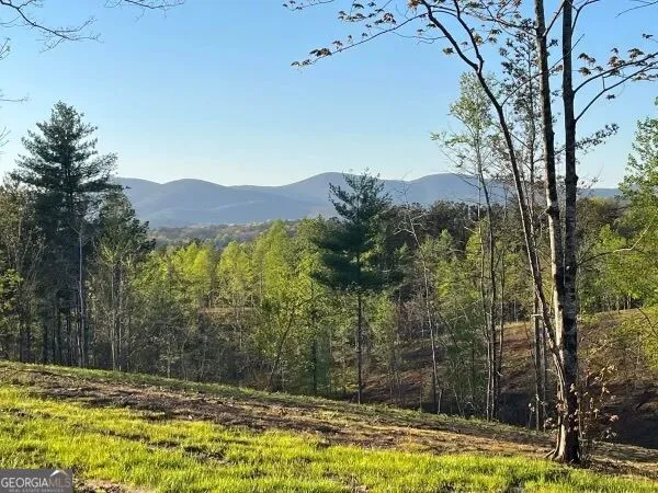 LOT 1 Highway 52 W Dahlonega, GA 30533