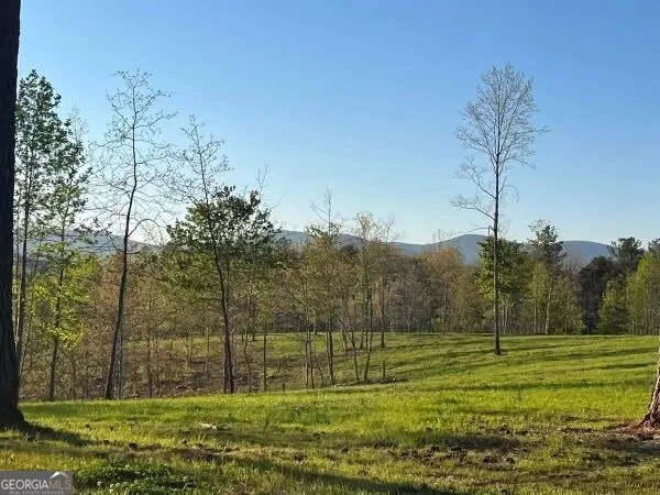 LOT 1 Highway 52 W Dahlonega, GA 30533