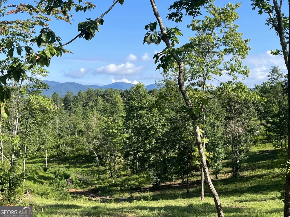 LOT 1 Highway 52 W Dahlonega, GA 30533