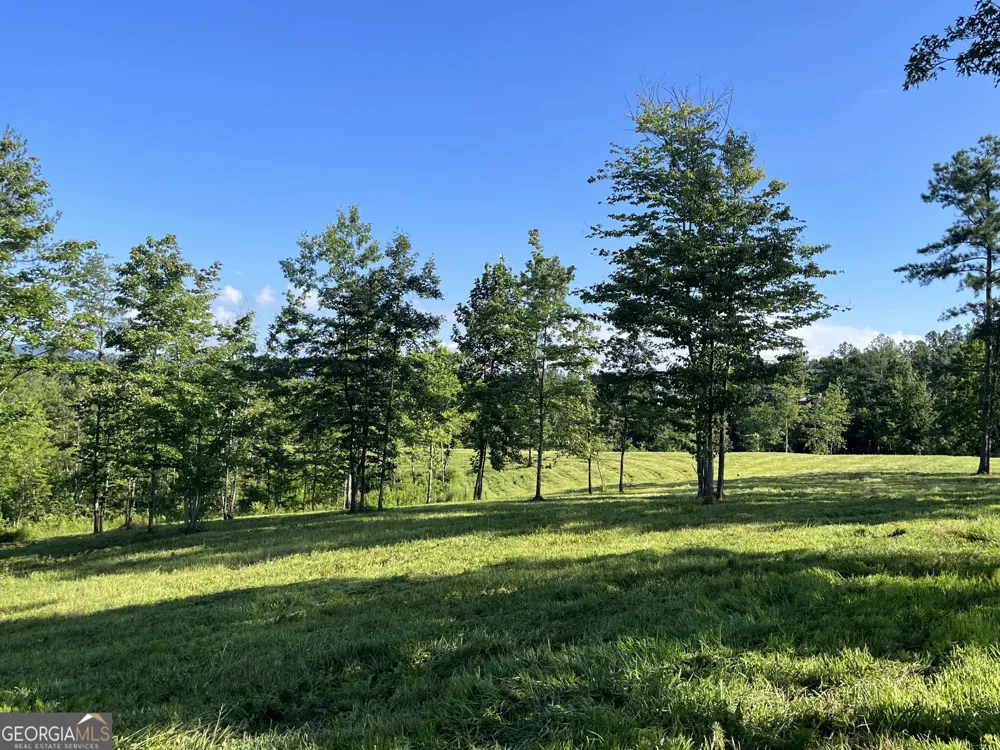 LOT 1 Highway 52 W Dahlonega, GA 30533