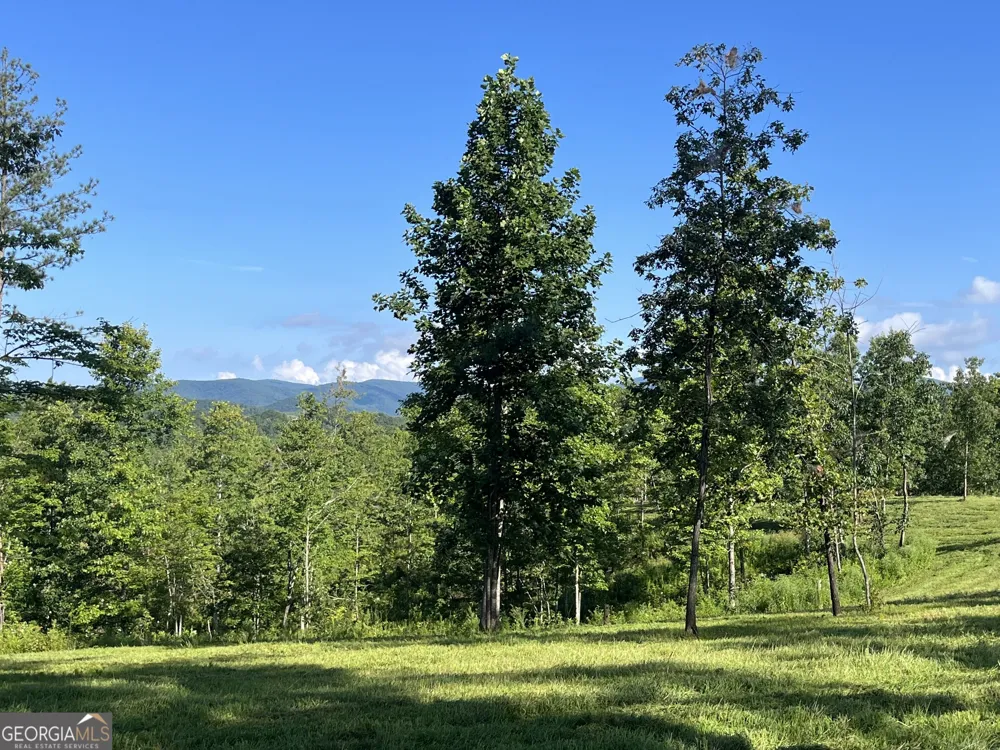 LOT 1 Highway 52 W Dahlonega, GA 30533
