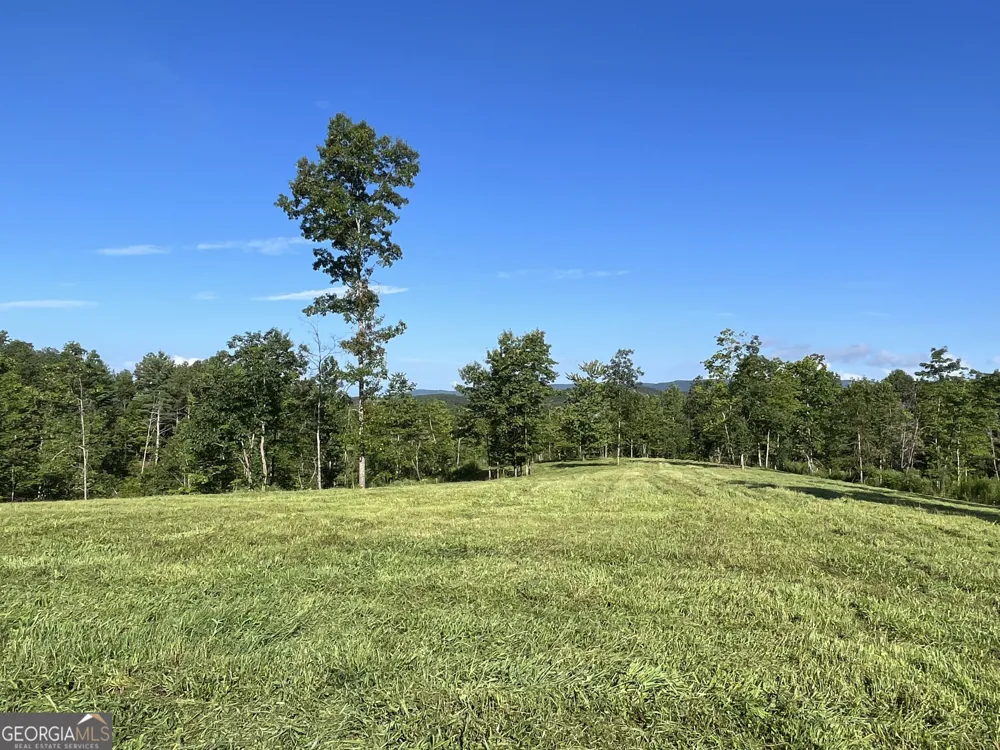 LOT 1 Highway 52 W Dahlonega, GA 30533