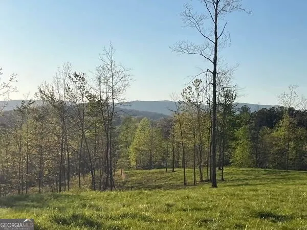 LOT 1 Highway 52 W Dahlonega, GA 30533