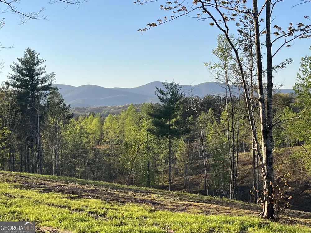 LOT 1 Highway 52 W Dahlonega, GA 30533