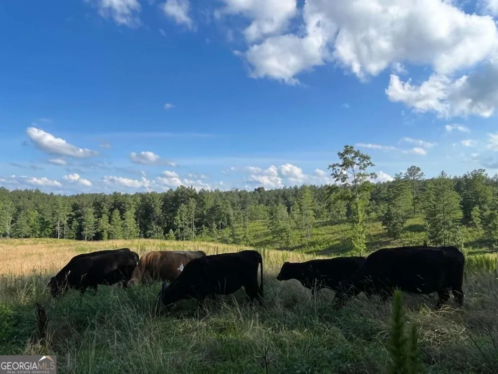 LOT 2 Highway 52 W Dahlonega, GA 30533
