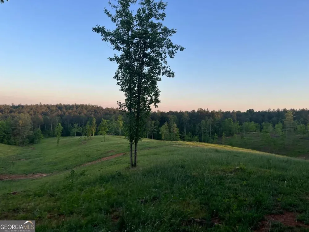 LOT 2 Highway 52 W Dahlonega, GA 30533