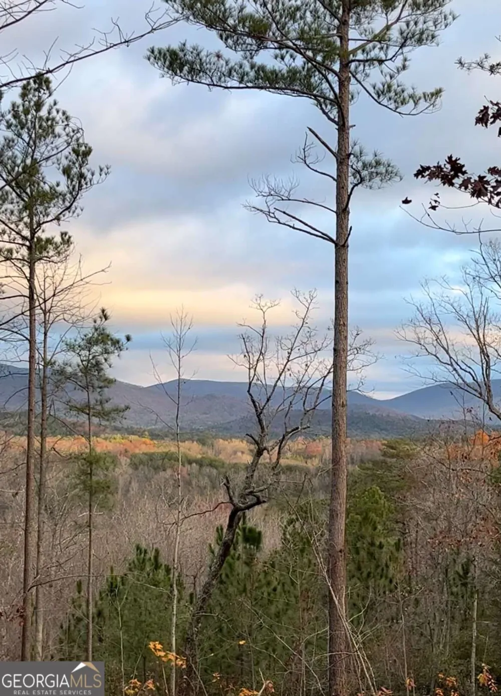 LOT 2 Highway 52 W Dahlonega, GA 30533