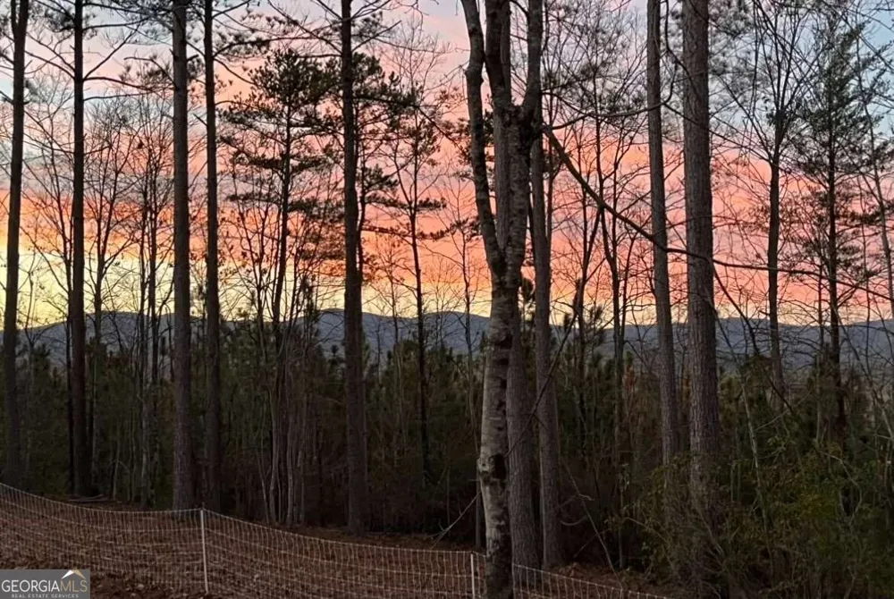 LOT 2 Highway 52 W Dahlonega, GA 30533