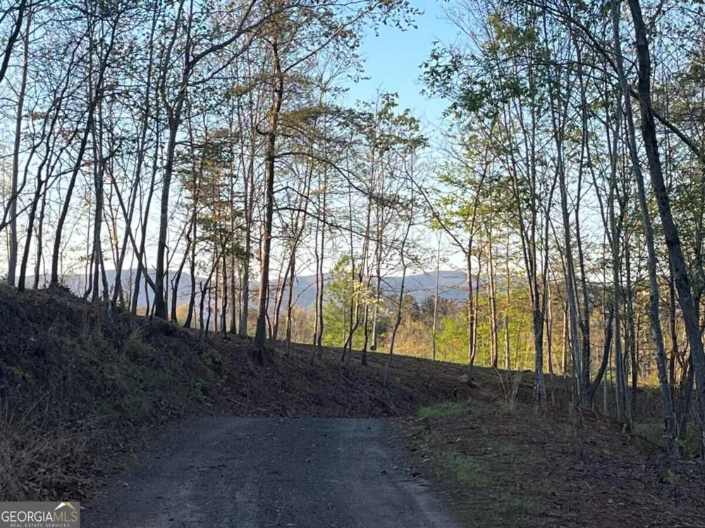 LOT 2 Highway 52 W Dahlonega, GA 30533