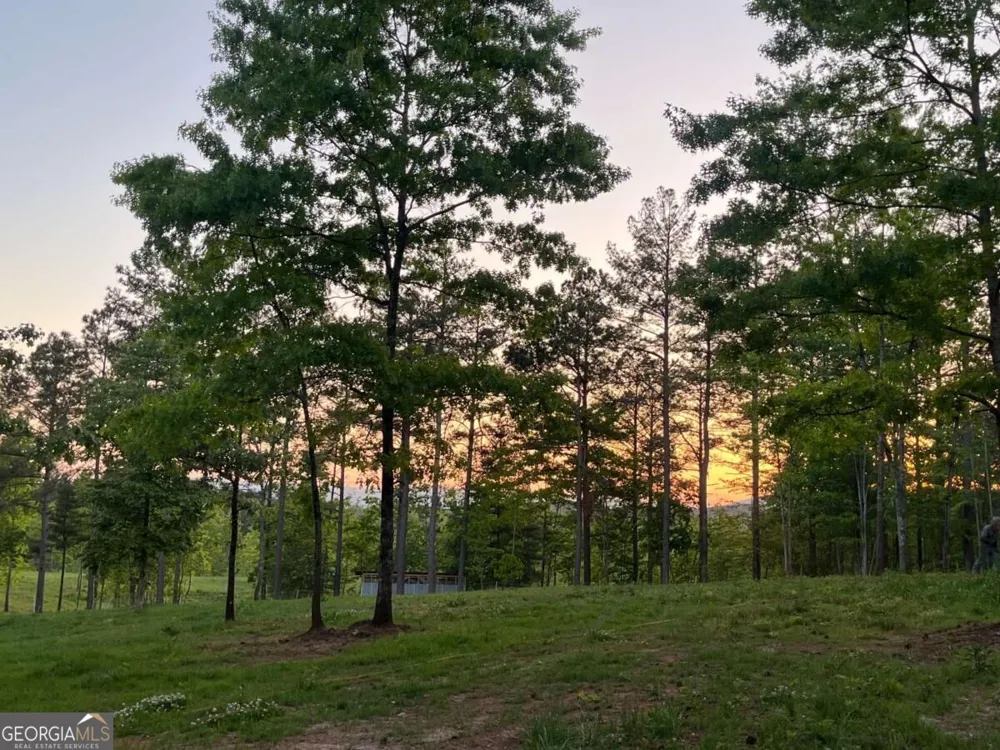 LOT 2 Highway 52 W Dahlonega, GA 30533