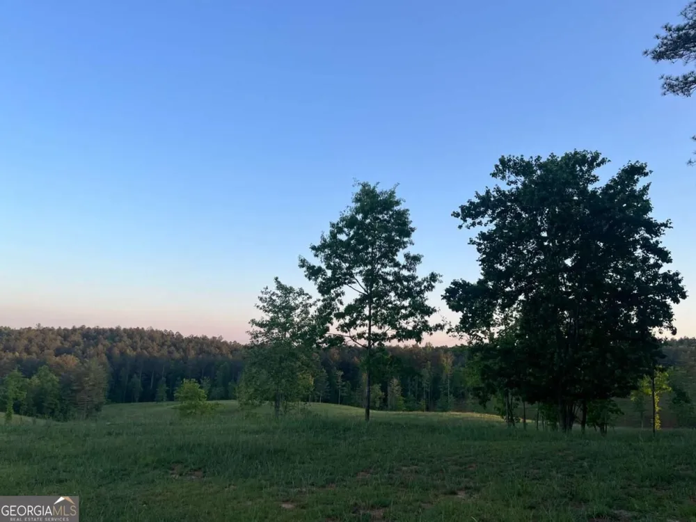 LOT 2 Highway 52 W Dahlonega, GA 30533