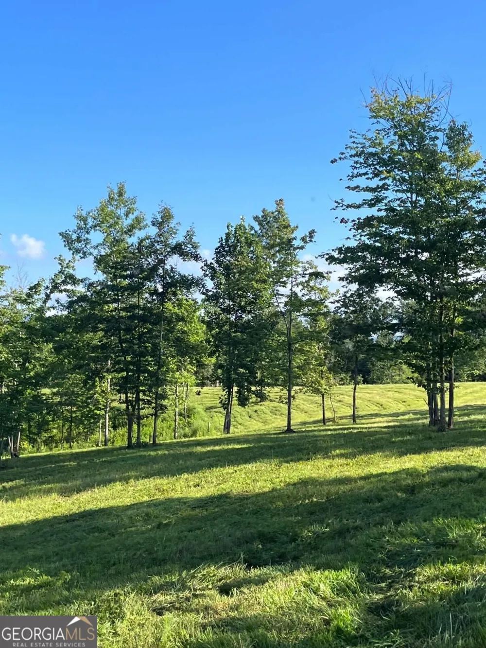 LOT 2 Highway 52 W Dahlonega, GA 30533