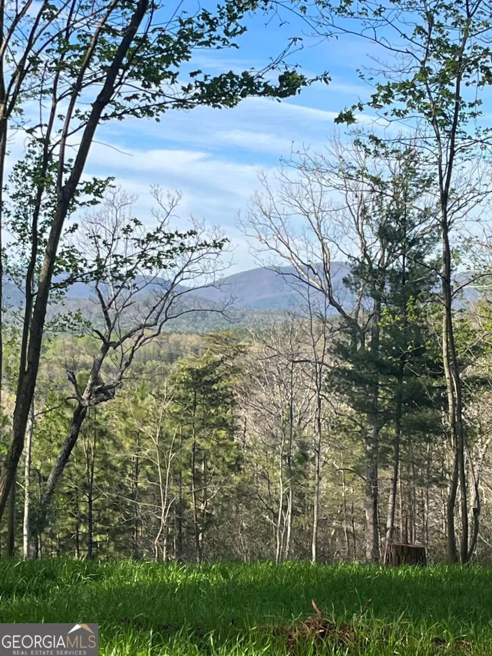 LOT 2 Highway 52 W Dahlonega, GA 30533