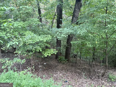 2333 Ford White RD