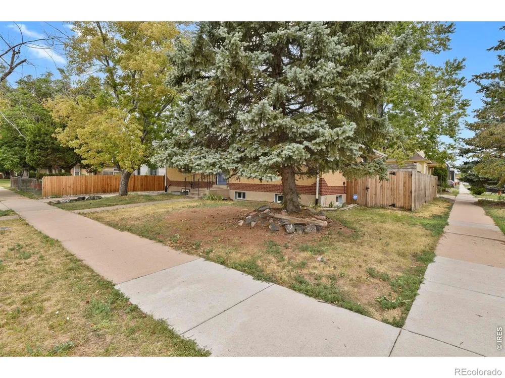 1597 Julian Street Denver, CO 80204