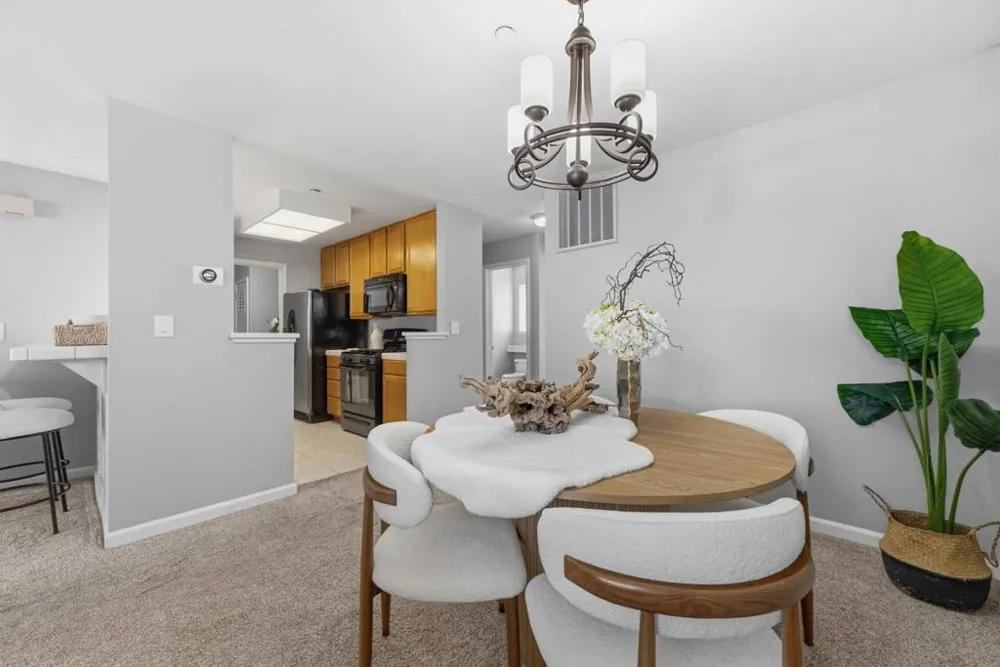 609 Arcadia Terrace #303 Sunnyvale, CA 94085