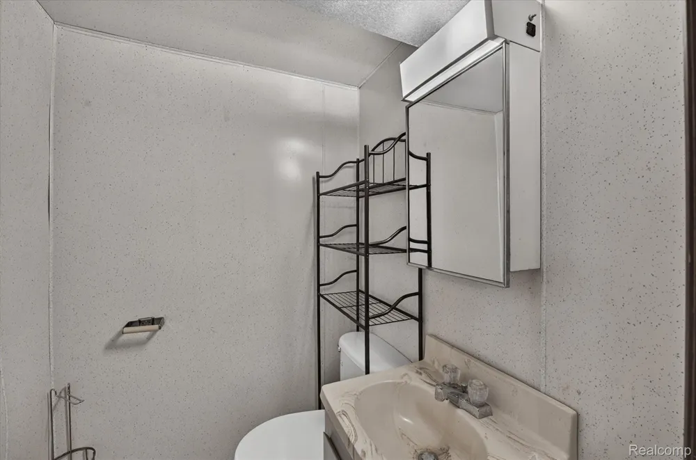 3055 Vineyard Lane Mt Morris Township, MI 48433