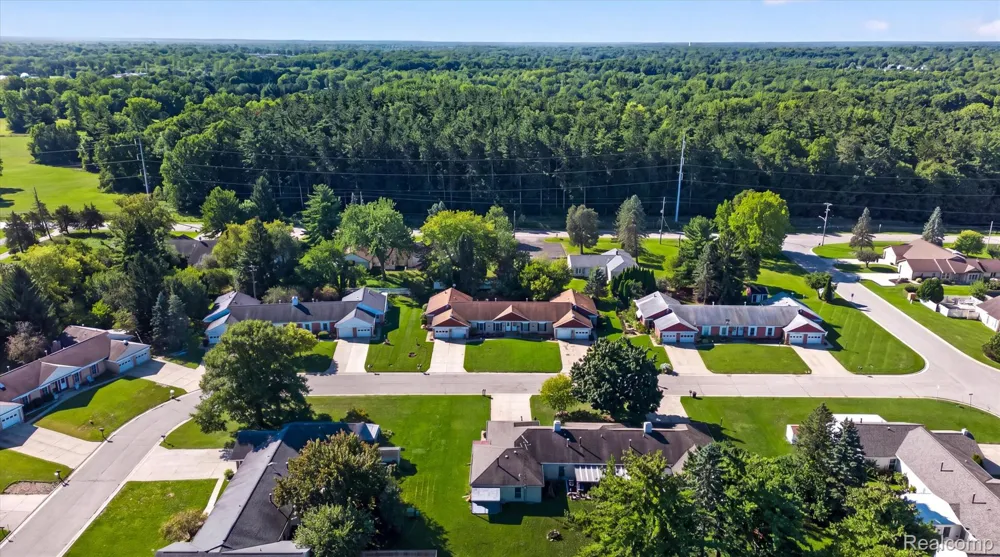 3055 Vineyard Lane Mt Morris Township, MI 48433
