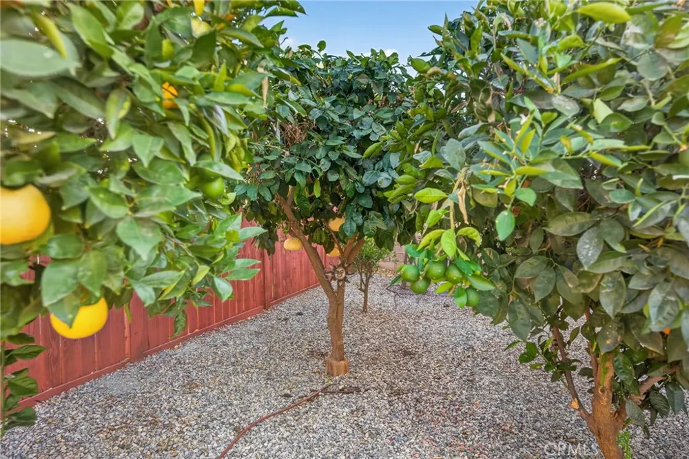 30392 Terrain Murrieta, CA 92563
