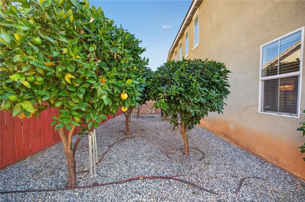 30392 Terrain Murrieta, CA 92563