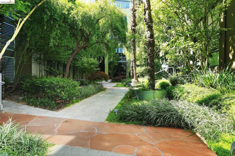 1500 Park Ave #328 Emeryville, CA 94608