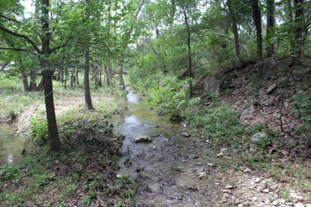 17234 E Reed Parks Road Jonestown, TX 78645