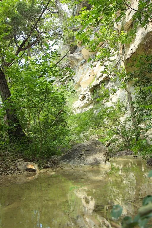 17234 E Reed Parks Road Jonestown, TX 78645